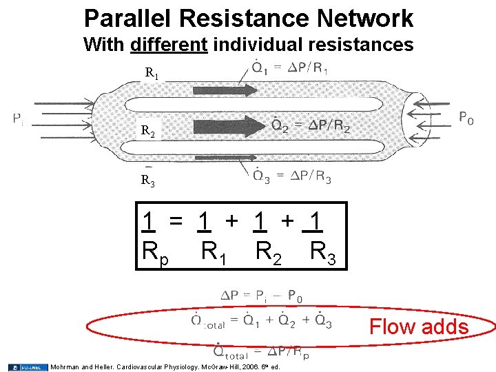 Parallel Resistance Network With different individual resistances R 1 R 2 R 3 1