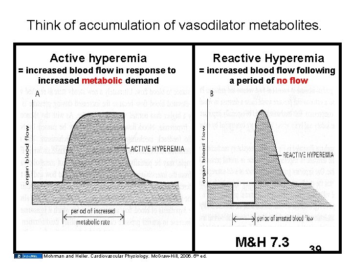 Think of accumulation of vasodilator metabolites. Active hyperemia Reactive Hyperemia = increased blood flow