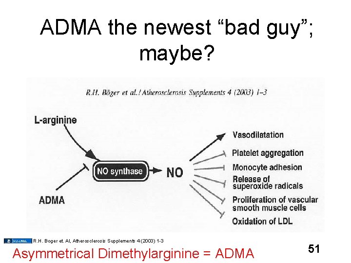 ADMA the newest “bad guy”; maybe? R. H. Boger et. Al, Atherosclerosis Supplements 4