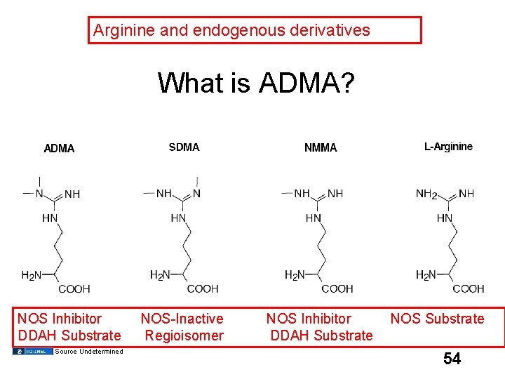 Arginine and endogenous derivatives What is ADMA? NOS Inhibitor NOS-Inactive NOS Inhibitor NOS Substrate