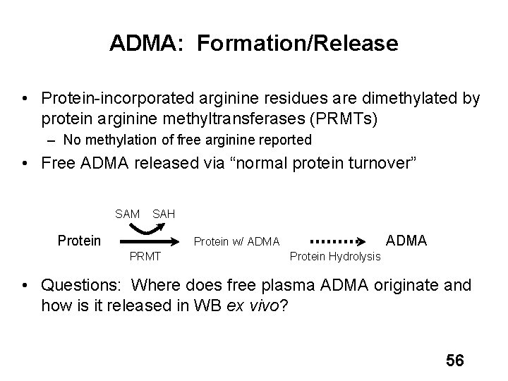 ADMA: Formation/Release • Protein-incorporated arginine residues are dimethylated by protein arginine methyltransferases (PRMTs) –