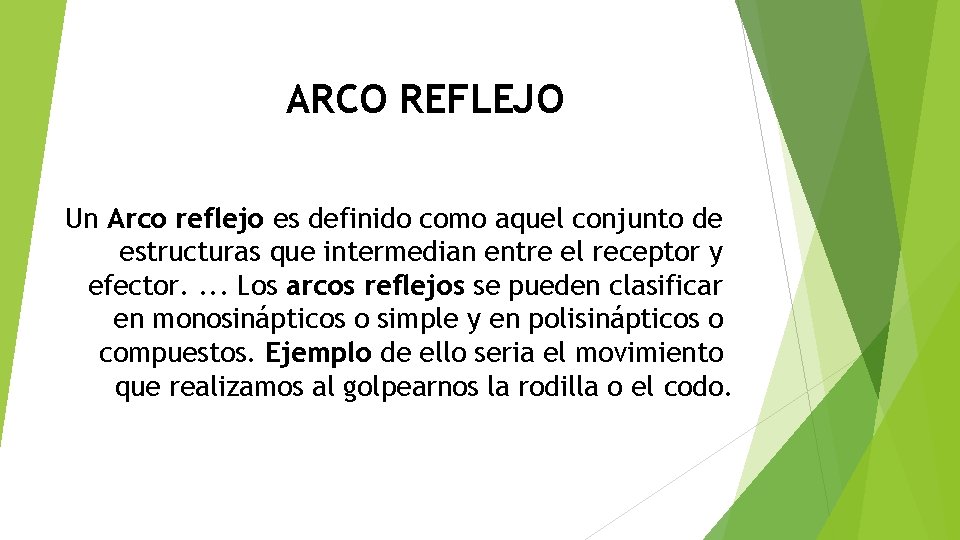 ARCO REFLEJO Un Arco reflejo es definido como aquel conjunto de estructuras que intermedian