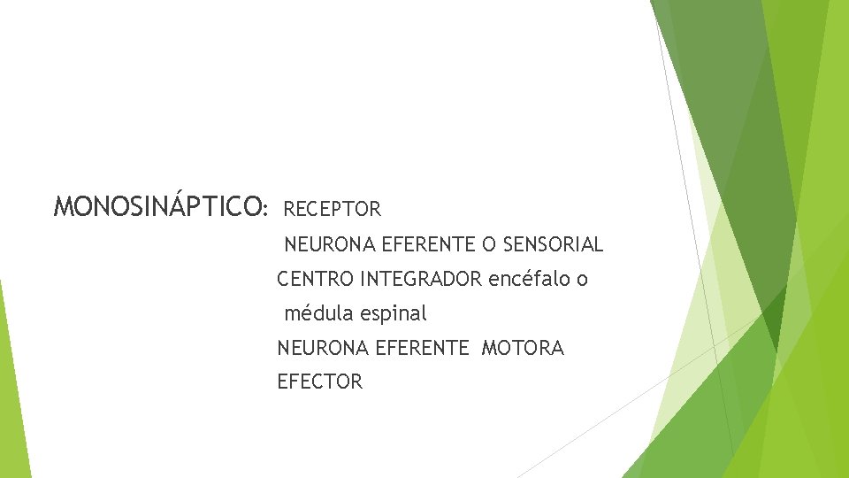 MONOSINÁPTICO: RECEPTOR NEURONA EFERENTE O SENSORIAL CENTRO INTEGRADOR encéfalo o médula espinal NEURONA EFERENTE