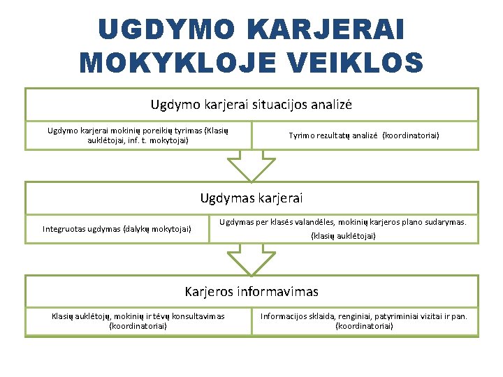 UGDYMO KARJERAI MOKYKLOJE VEIKLOS Ugdymo karjerai situacijos analizė Ugdymo karjerai mokinių poreikių tyrimas (Klasių