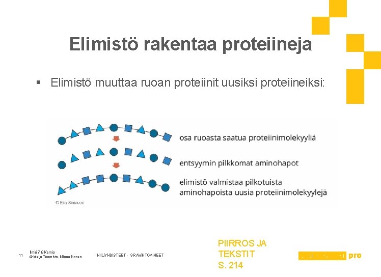 Elimistö rakentaa proteiineja § Elimistö muuttaa ruoan proteiinit uusiksi proteiineiksi: 11 Ilmiö 7 -9