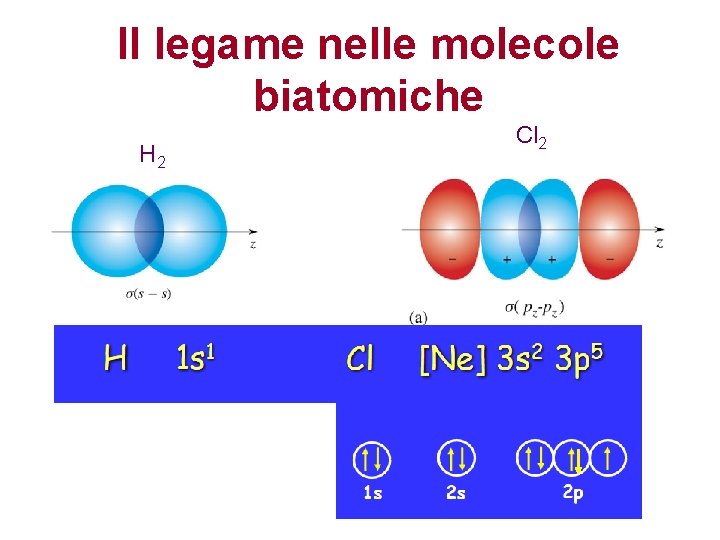Il legame nelle molecole biatomiche H 2 Cl 2 