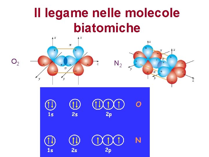 Il legame nelle molecole biatomiche O 2 N 2 