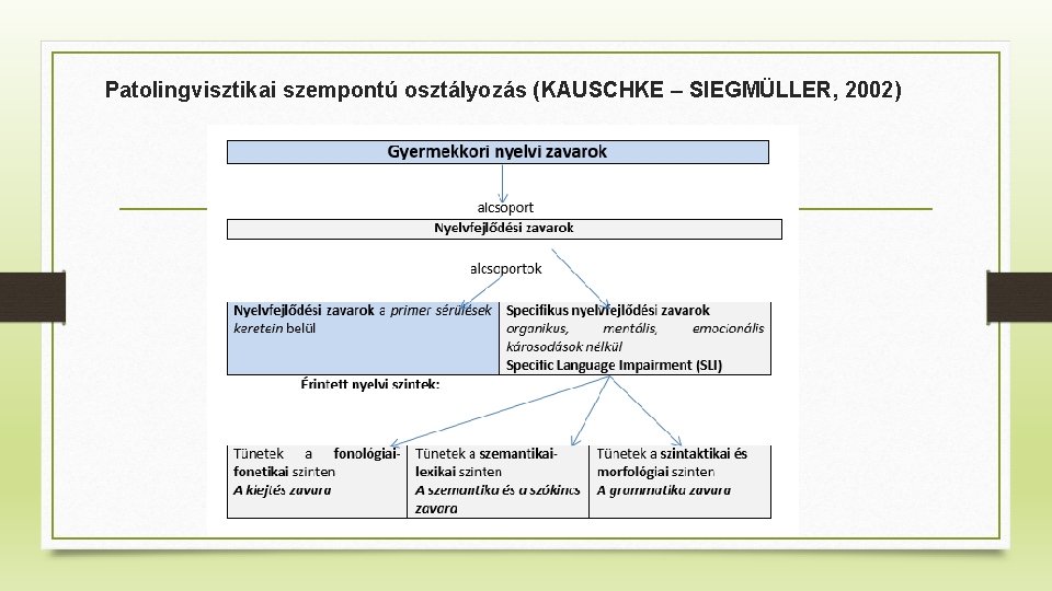 Patolingvisztikai szempontú osztályozás (KAUSCHKE – SIEGMÜLLER, 2002) 