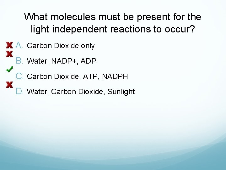 What molecules must be present for the light independent reactions to occur? A. Carbon