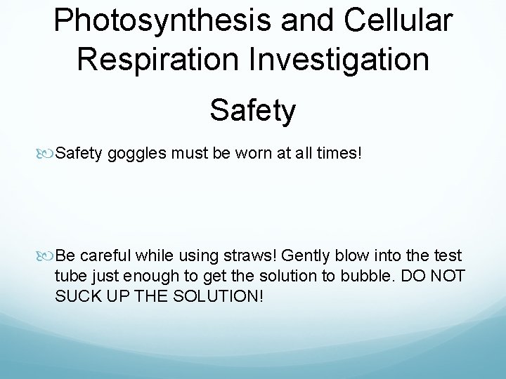 Photosynthesis and Cellular Respiration Investigation Safety goggles must be worn at all times! Be