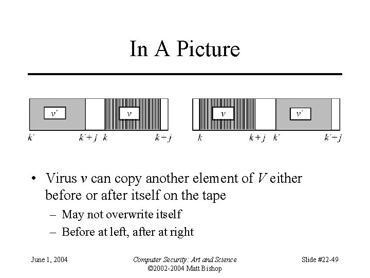 In A Picture • Virus v can copy another element of V either before