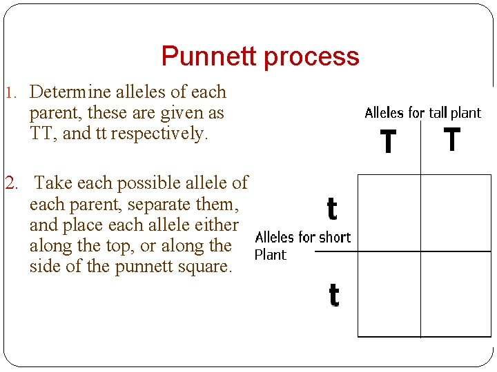 Punnett process 1. Determine alleles of each parent, these are given as TT, and