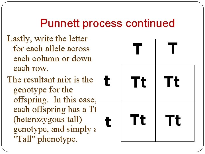 Punnett process continued Lastly, write the letter for each allele across each column or