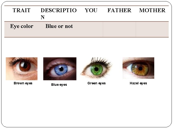 TRAIT DESCRIPTIO N Eye color Blue or not Brown eyes Blue eyes YOU Green