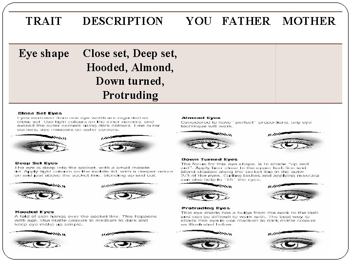 TRAIT Eye shape DESCRIPTION Close set, Deep set, Hooded, Almond, Down turned, Protruding YOU