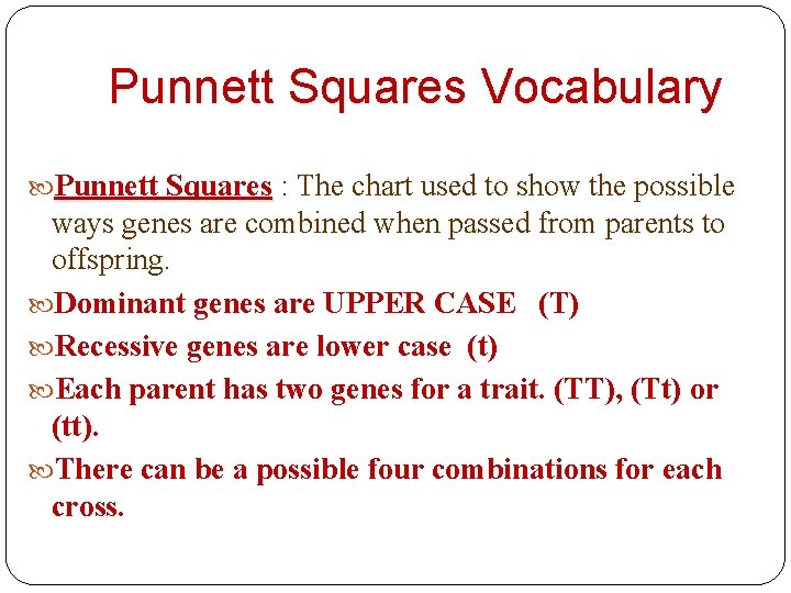 Punnett Squares Vocabulary Punnett Squares : The chart used to show the possible ways