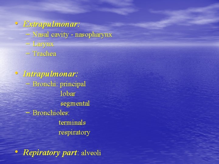  • Extrapulmonar: – Nasal cavity - nasopharynx – Larynx – Trachea • Intrapulmonar: