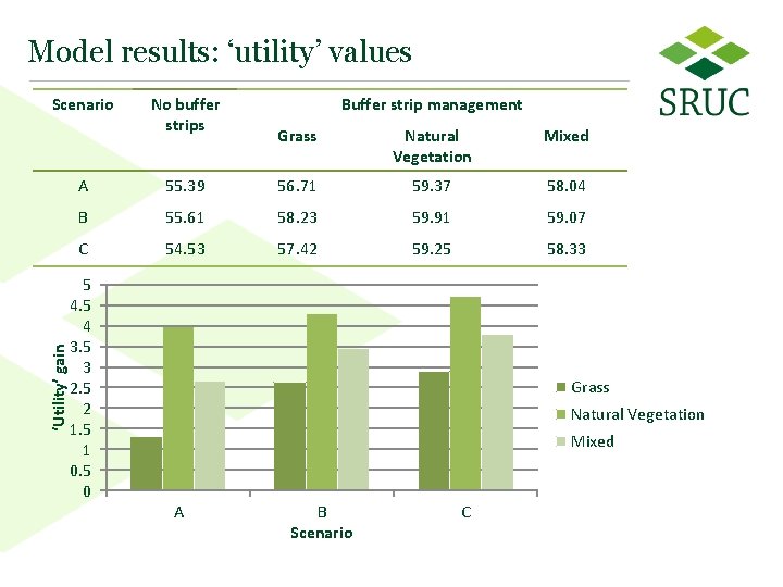 Model results: ‘utility’ values ‘Utility’ gain Scenario No buffer strips Buffer strip management Grass