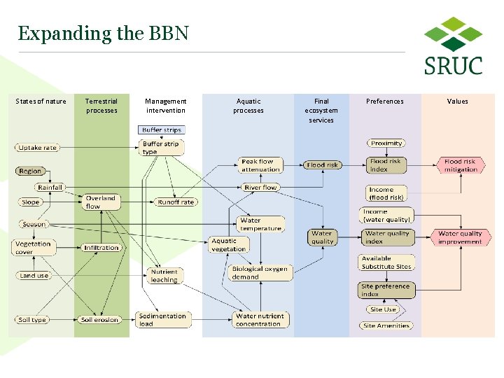 Expanding the BBN States of nature Terrestrial processes Management intervention Aquatic processes Final ecosystem