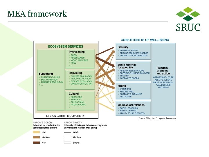 MEA framework 5 