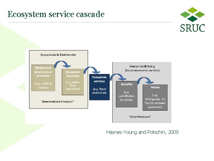 Ecosystem service cascade Haynes-Young and Potschin, 2009 6 