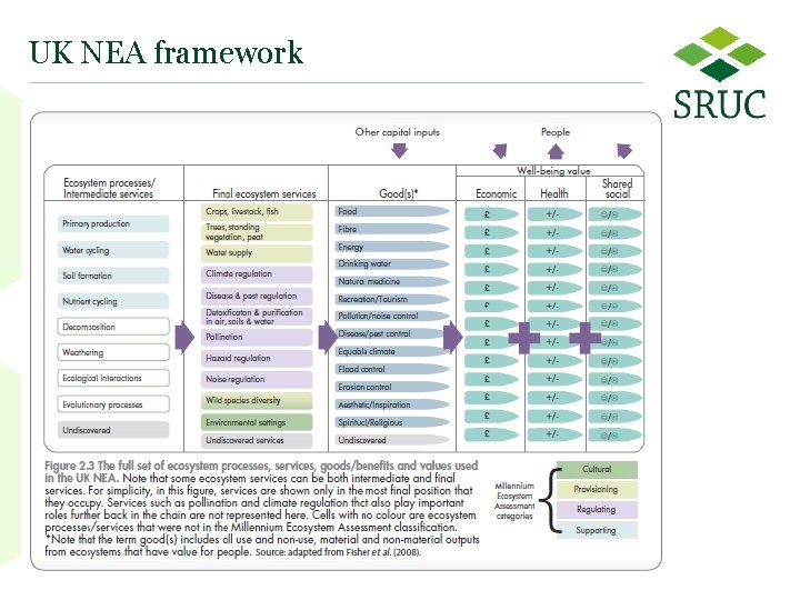 UK NEA framework 7 