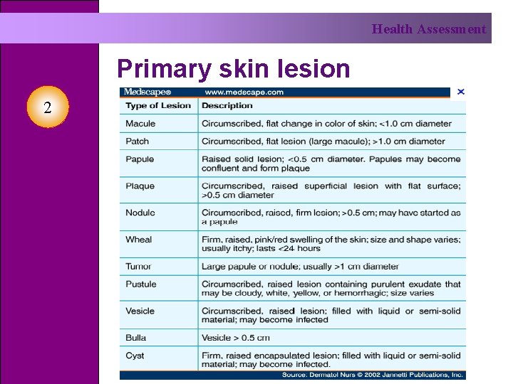 Health Assessment Primary skin lesion 2 