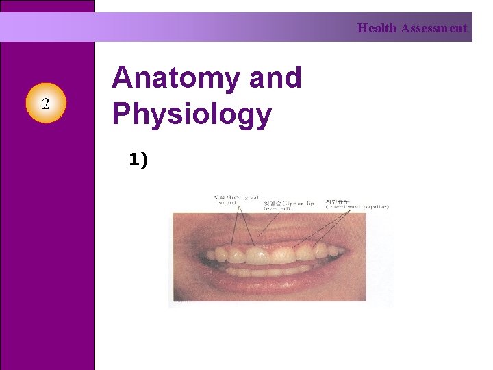 Health Assessment 2 Anatomy and Physiology 1) 