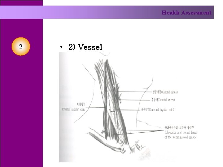 Health Assessment 2 • 2) Vessel 