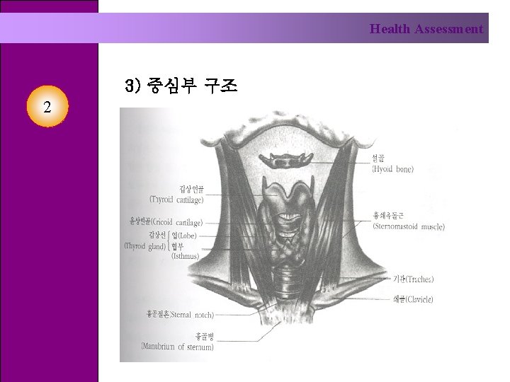 Health Assessment 3) 중심부 구조 2 