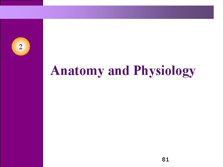 2 Anatomy and Physiology 81 