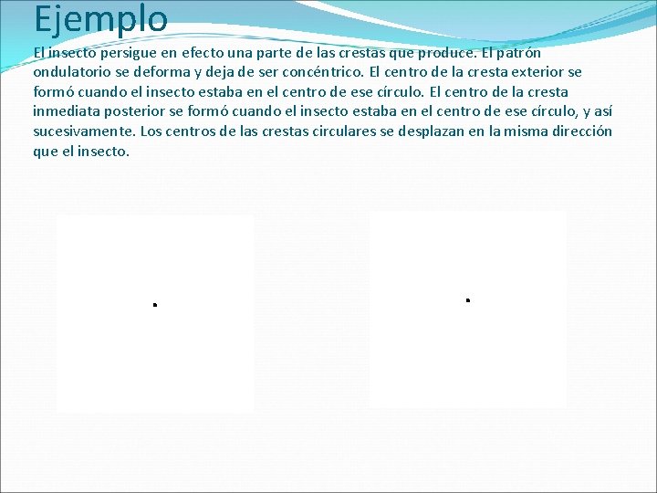 Ejemplo El insecto persigue en efecto una parte de las crestas que produce. El Ejemplo El insecto persigue en efecto una parte de las crestas que produce. El