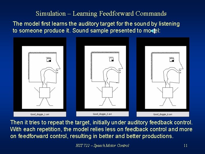 Simulation – Learning Feedforward Commands The model first learns the auditory target for the