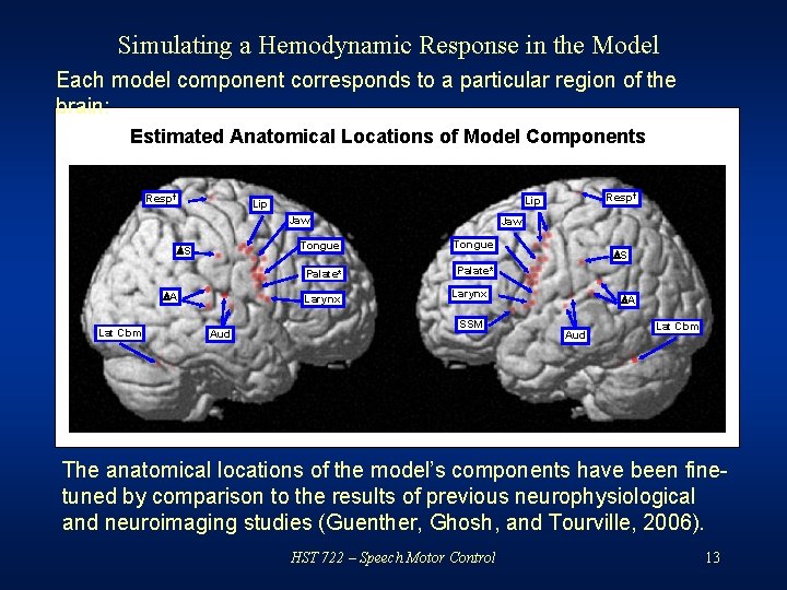 Simulating a Hemodynamic Response in the Model Each model component corresponds to a particular
