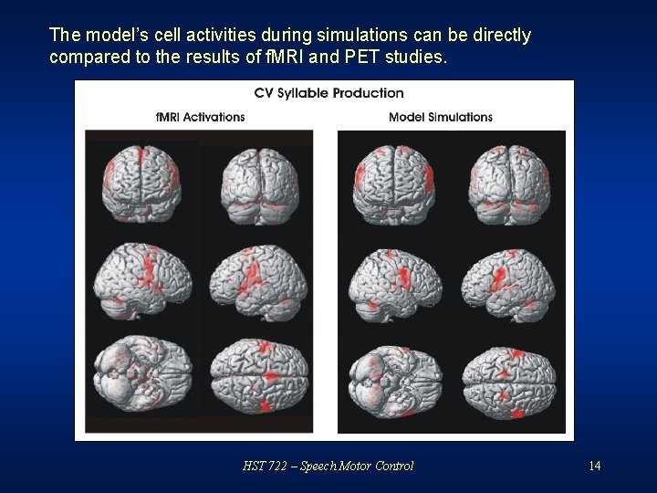 The model’s cell activities during simulations can be directly compared to the results of