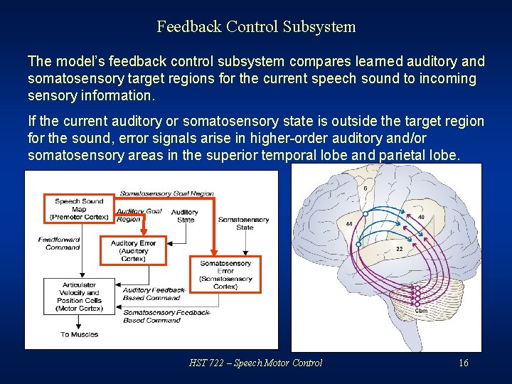 Feedback Control Subsystem The model’s feedback control subsystem compares learned auditory and somatosensory target
