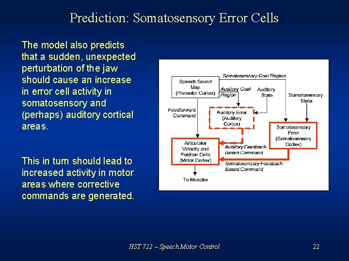 Prediction: Somatosensory Error Cells The model also predicts that a sudden, unexpected perturbation of