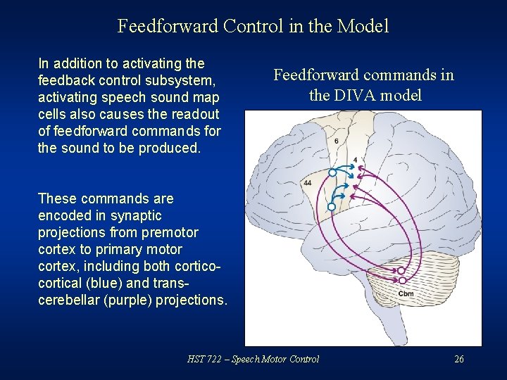 Feedforward Control in the Model In addition to activating the feedback control subsystem, activating