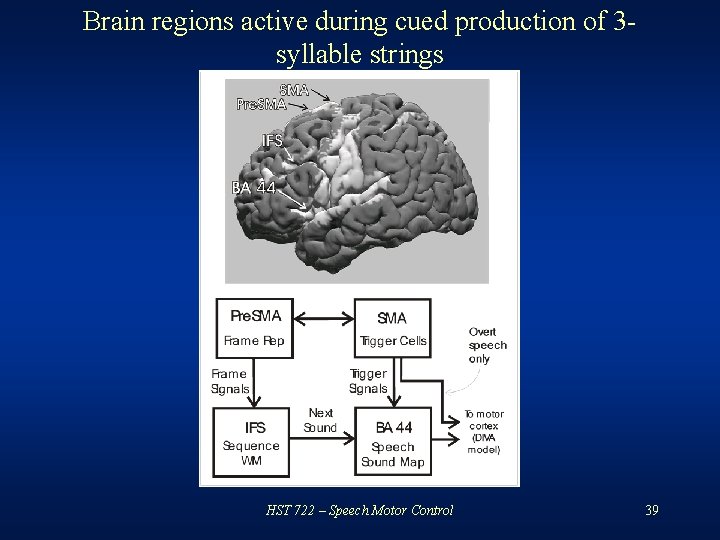 Brain regions active during cued production of 3 syllable strings HST 722 – Speech