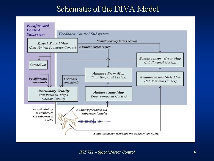 Schematic of the DIVA Model HST 722 – Speech Motor Control 4 