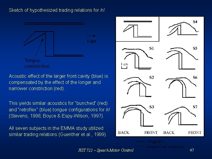Sketch of hypothesized trading relations for /r/: Acoustic effect of the larger front cavity