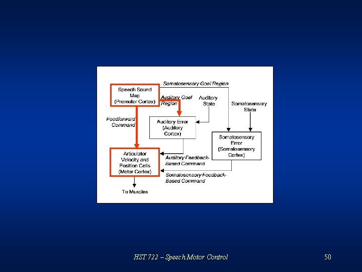 HST 722 – Speech Motor Control 50 
