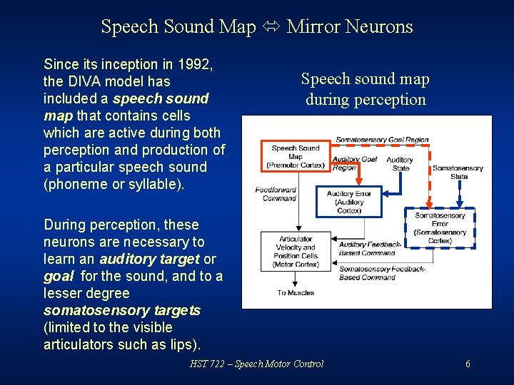 Speech Sound Map Mirror Neurons Since its inception in 1992, the DIVA model has
