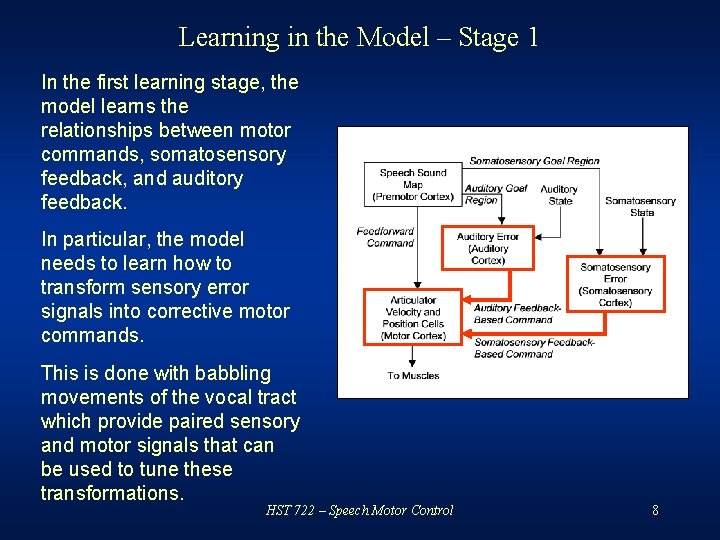 Learning in the Model – Stage 1 In the first learning stage, the model