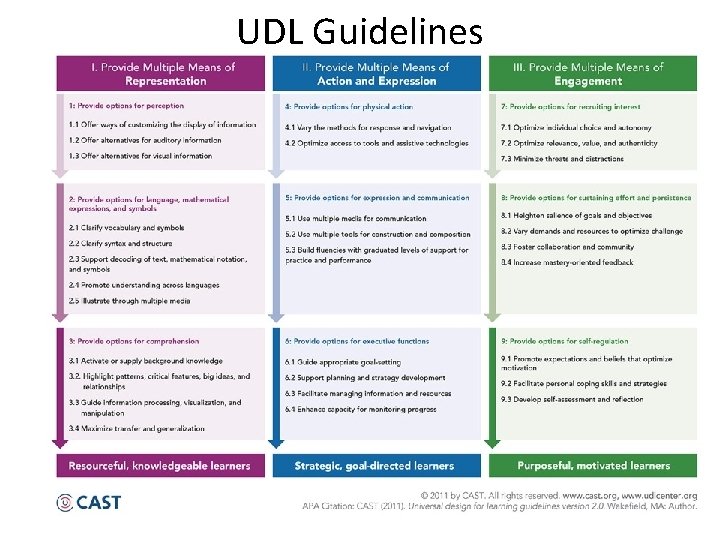 UDL Guidelines 
