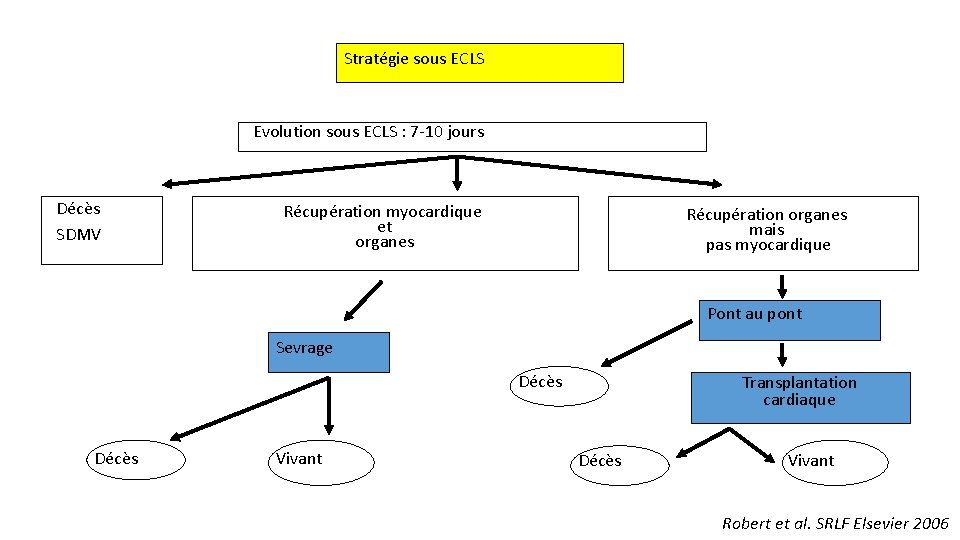 Stratégie sous ECLS Evolution sous ECLS : 7 -10 jours Décès SDMV Récupération myocardique