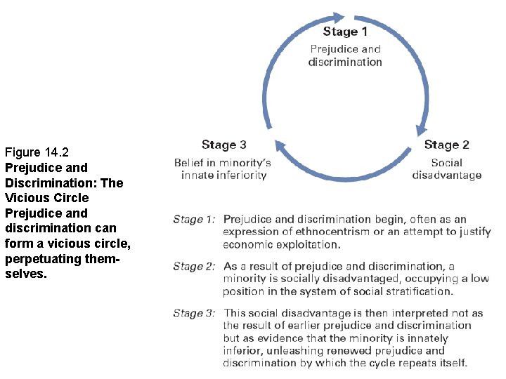 Figure 14. 2 Prejudice and Discrimination: The Vicious Circle Prejudice and discrimination can form