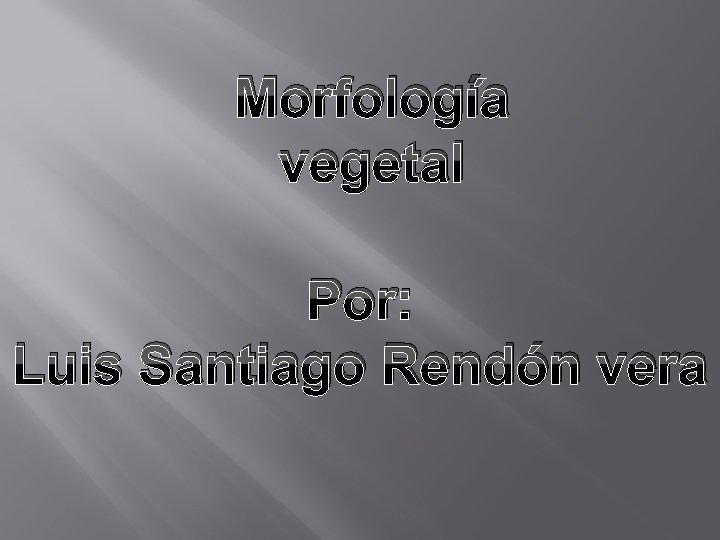 Morfología vegetal Por: Luis Santiago Rendón vera 