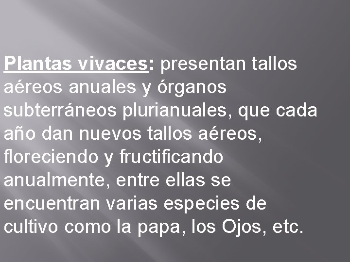 Plantas vivaces: presentan tallos aéreos anuales y órganos subterráneos plurianuales, que cada año dan