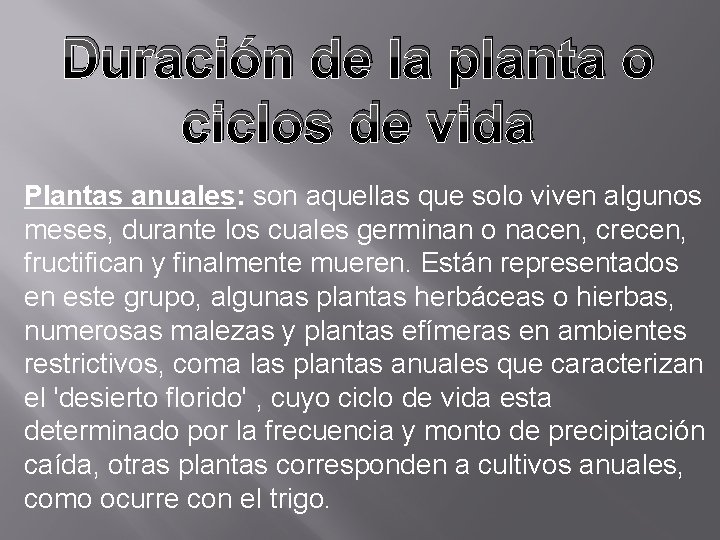 Duración de la planta o ciclos de vida Plantas anuales: son aquellas que solo
